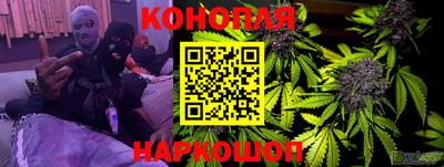 шишки Гусиноозёрск