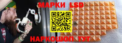 шишки Гусиноозёрск