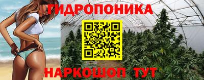 шишки Гусиноозёрск