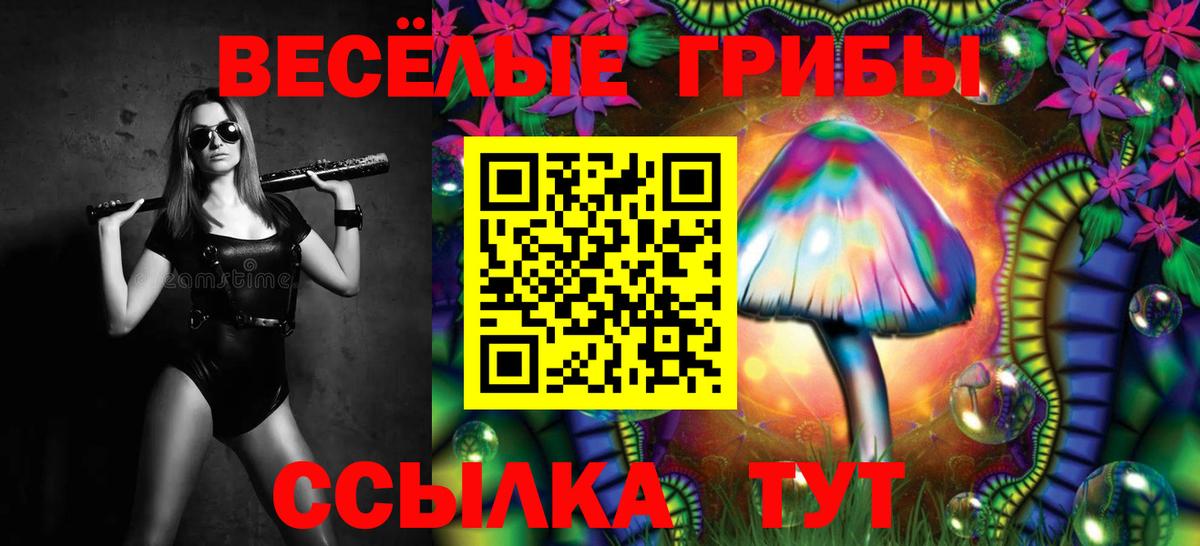 Псилоцибиновые грибы прущие грибы  Псилоцибиновые грибы мухоморы  Вход с VPN  Мытищи 
