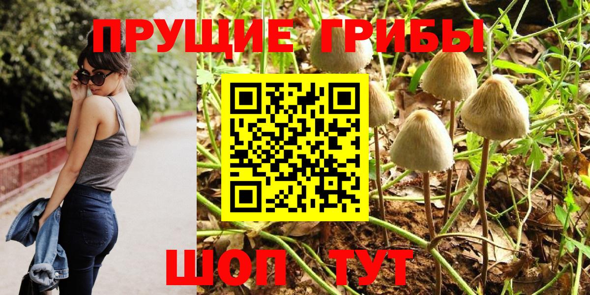 Галлюциногенные грибы ЛСД Мытищи